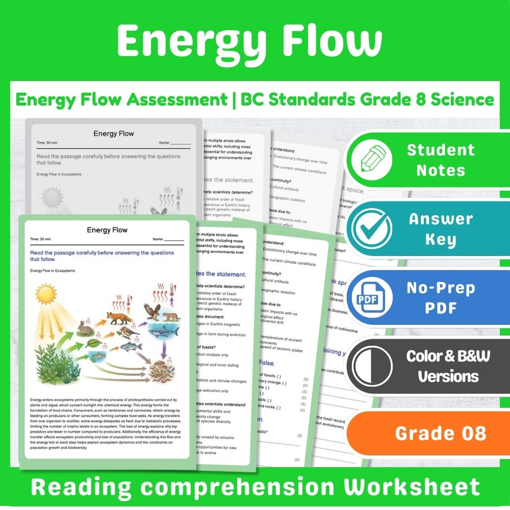 Grade 8 Science Mini Bundle – Ecosystems & Ecological Assessment | BC Standards — included worksheet 2