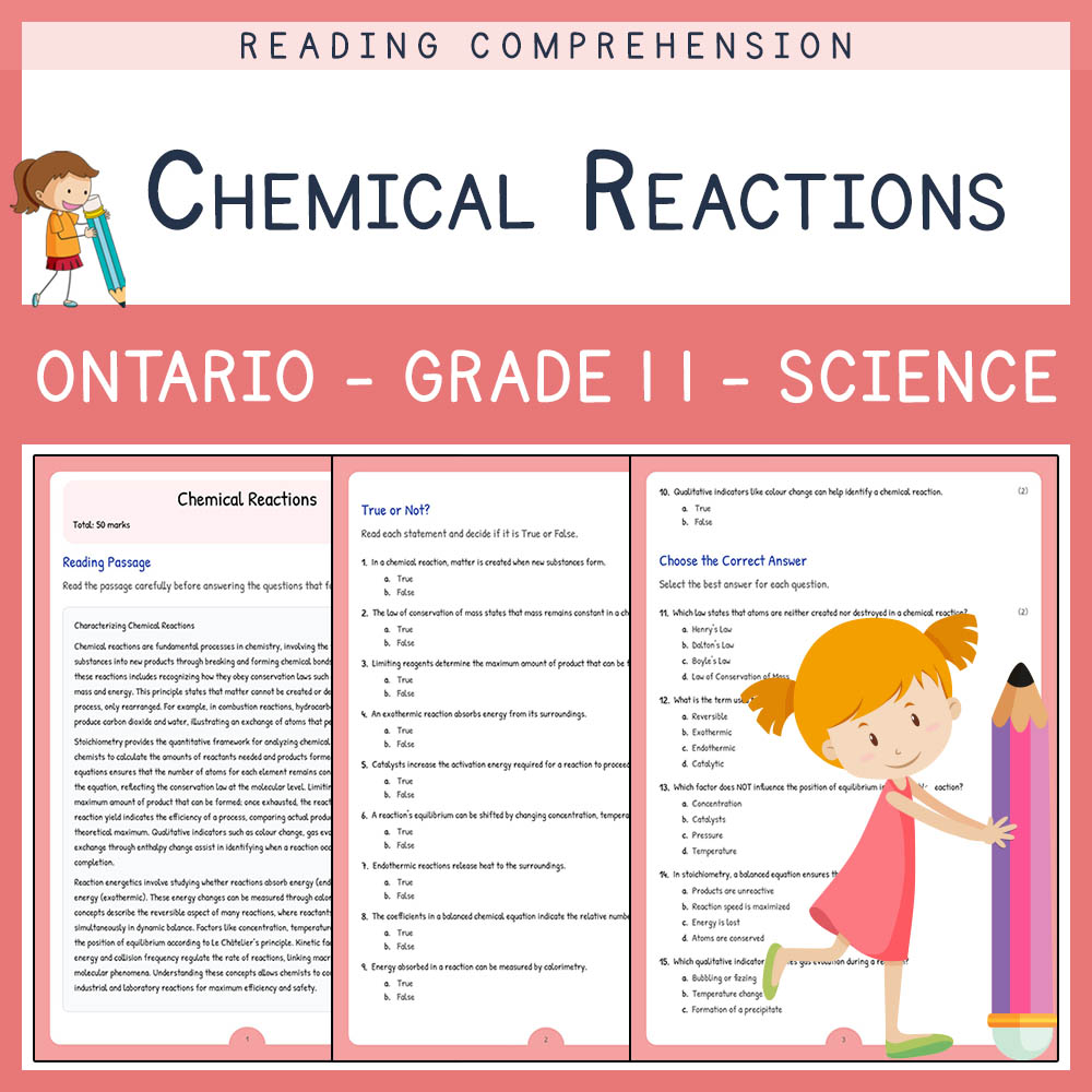 Grade 11 Science worksheet elena worksheet — Grade 11 Science Assessment | Chemical Reactions Worksheet Elena | Ontario —…