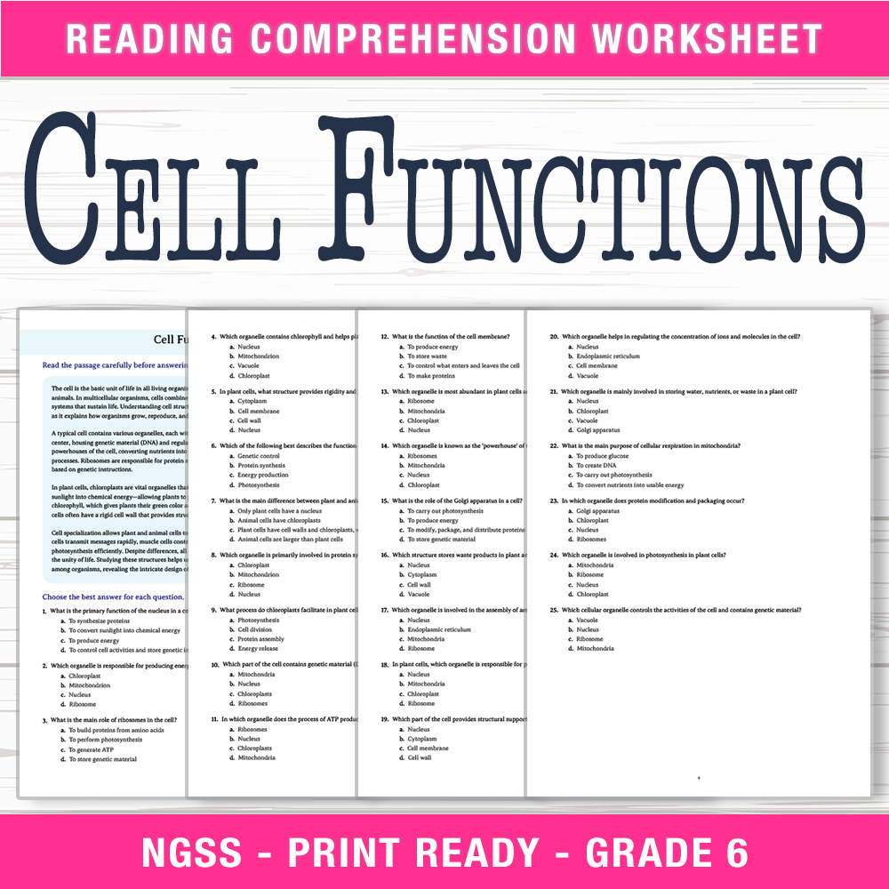 Grade 6 Science worksheet worksheet — 6th Grade Science | Cell Functions Worksheet (PDF + Answer Key) — page 1