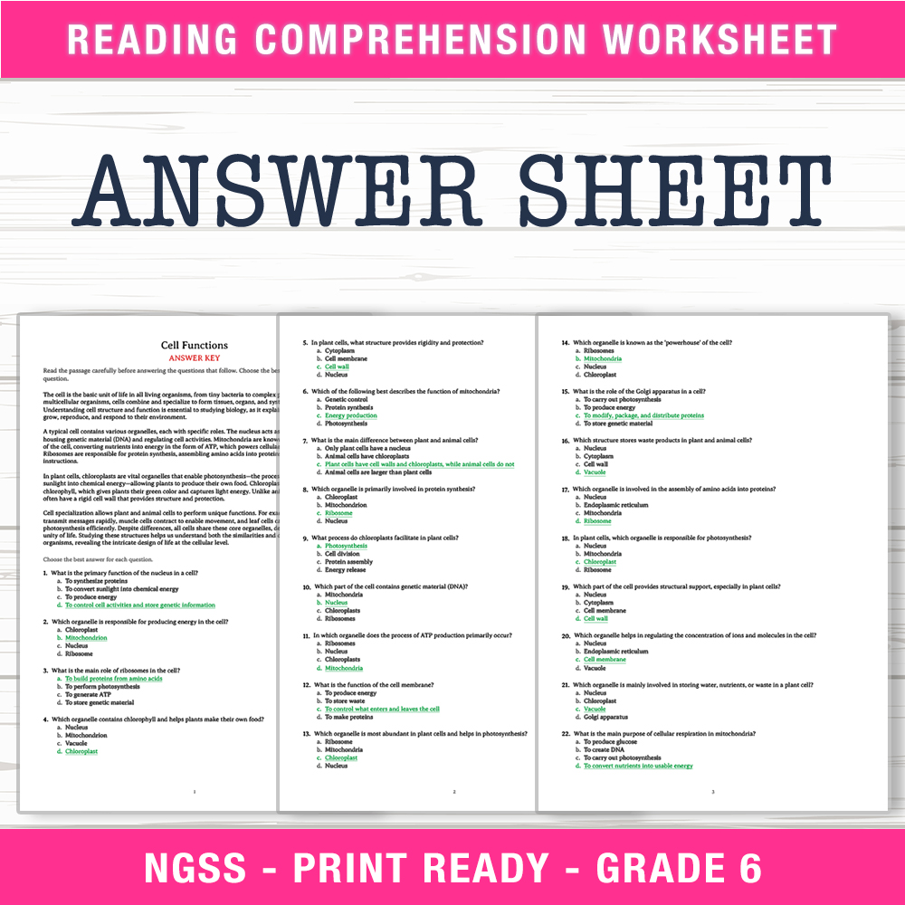 Grade 6 Science worksheet worksheet — 6th Grade Science | Cell Functions Worksheet (PDF + Answer Key) — page 2