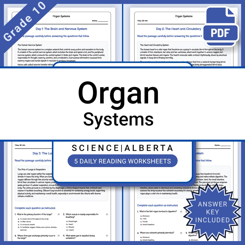 Grade 10 Science Full Year Bundle | Energy, Electricity, and Alberta Curriculum — included worksheet 6