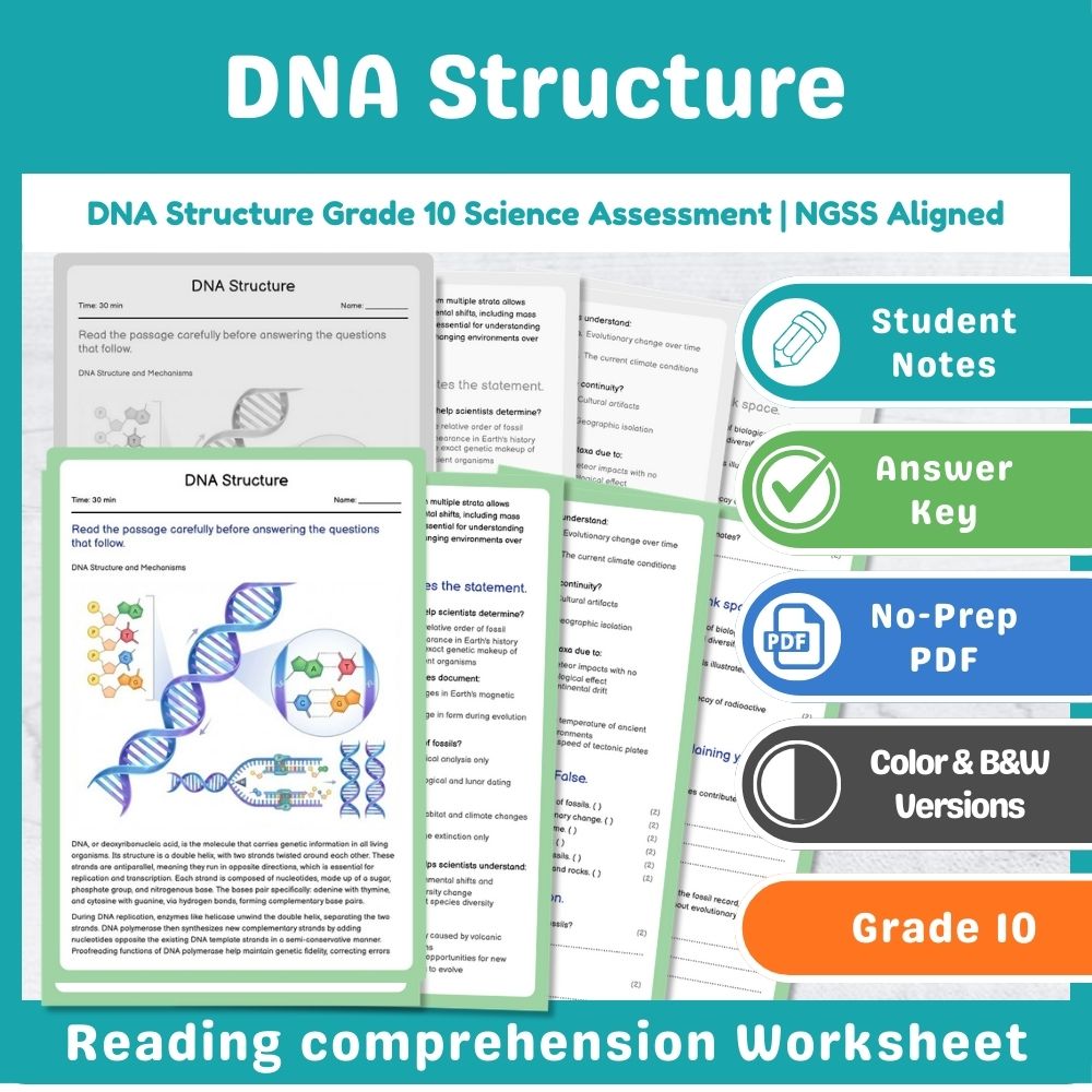 Grade 10 Science assessment worksheet — DNA Structure Grade 10 Science Assessment | NGSS Aligned