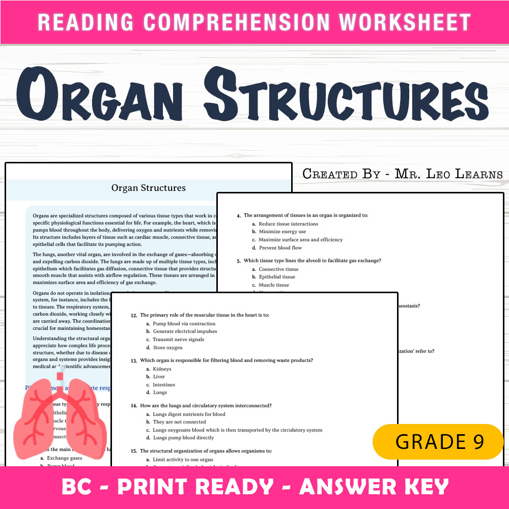Grade 9 Science worksheet mcq paper worksheet — Grade 9 Science — Worksheet MCQ Paper for Mastering Organ Structures — page 1