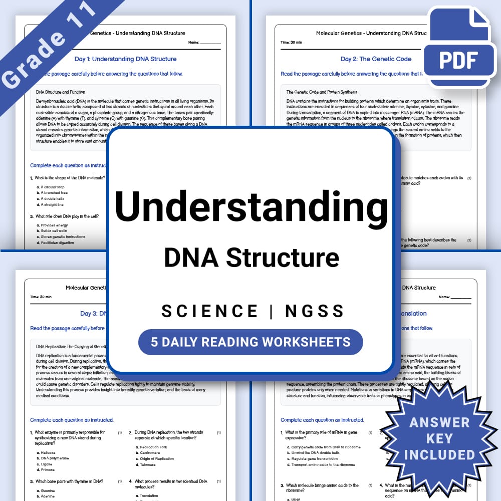 Grade 11 Science daily reading worksheet worksheet — Grade 11 Science – Molecular Genetics DNA Structure Worksheet(PDF +An…