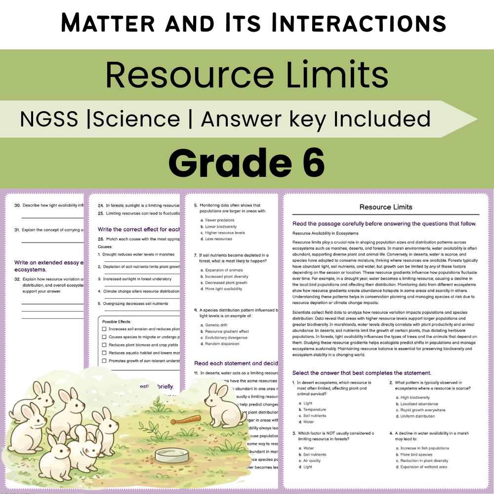 Grade 6 Science NGSS Worksheet Bundle | Comprehensive STEM Practice Pack — included worksheet 5