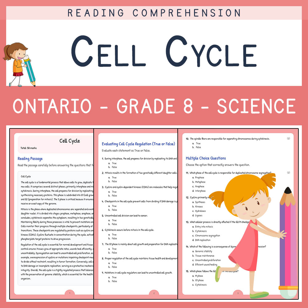 Grade 8 Science worksheet elena worksheet — Grade 8 Science Assessment | Cell Cycle Worksheet Elena | Ontario — page 1