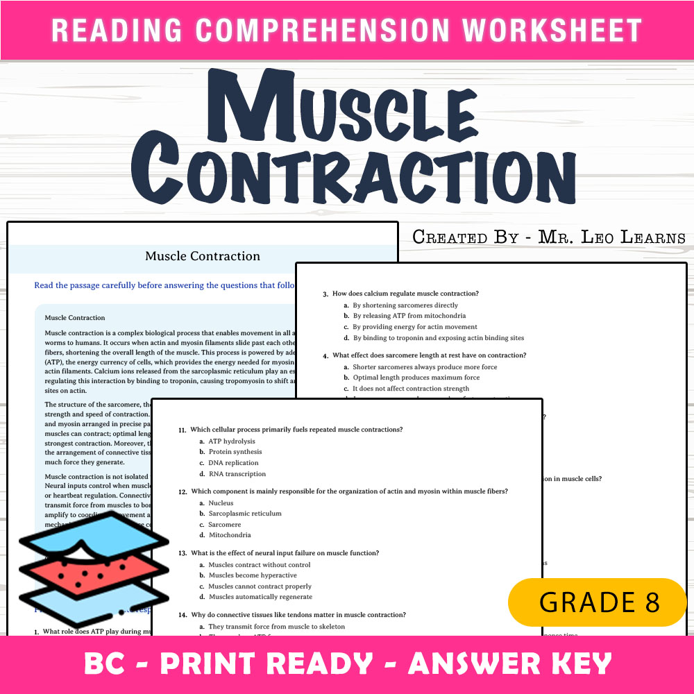 Grade 8 Science worksheet mcq paper worksheet — Grade 8 Science — Worksheet MCQ Paper for Mastering Muscle Contraction — p…