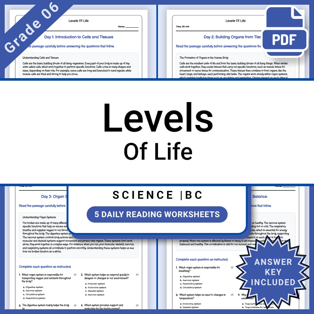 Grade 6 Science Full Year Bundle | Body Systems, Waves, Ecology & More — included worksheet 6