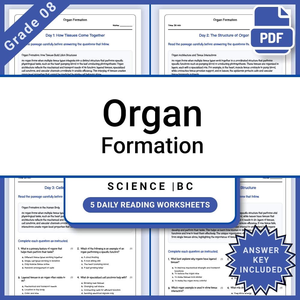 Grade 8 Science Lesson Group BC Framework | Daily Reading Worksheets — included worksheet 1