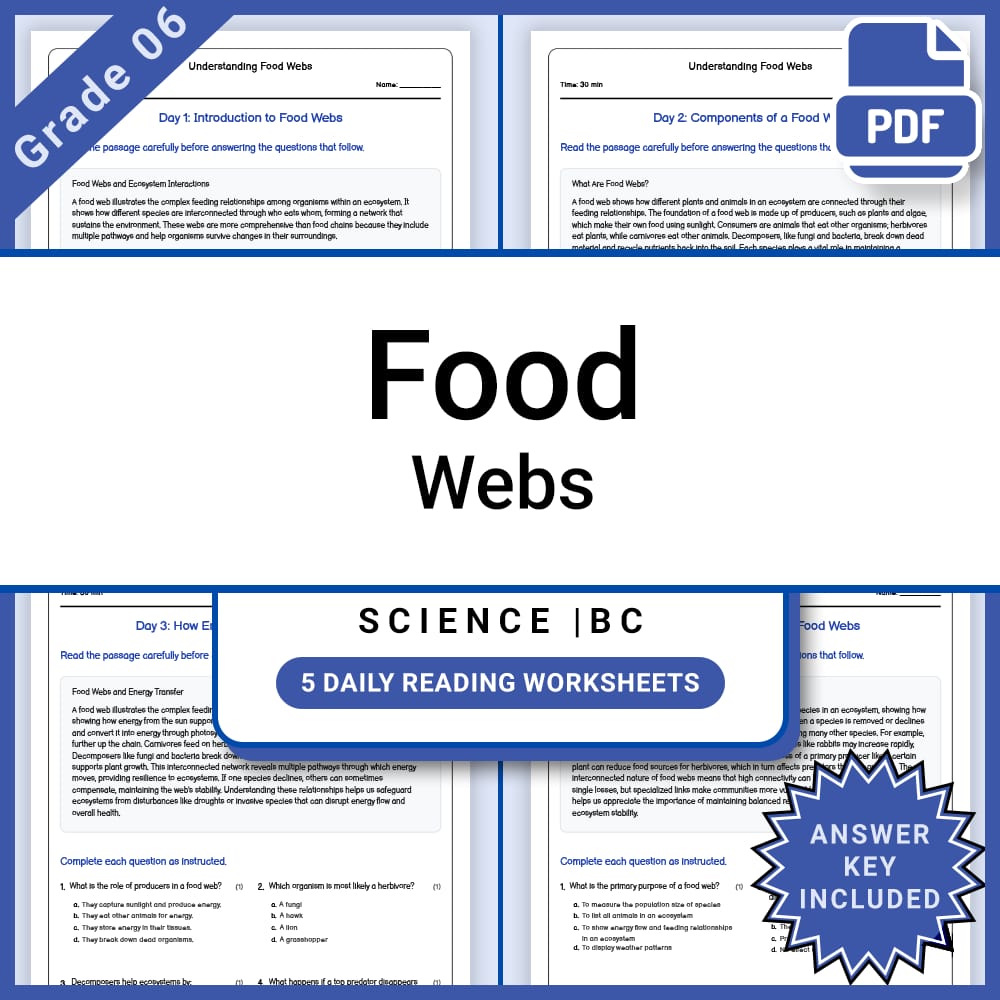 Grade 6 Science Lesson Group Bundle on Ecosystems and Ecology — included worksheet 4