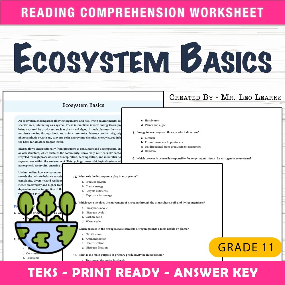Grade 11 Science worksheet worksheet — Grade 11 Science — Ecosystem Basics Worksheet for Mastering Key Concepts — page 1