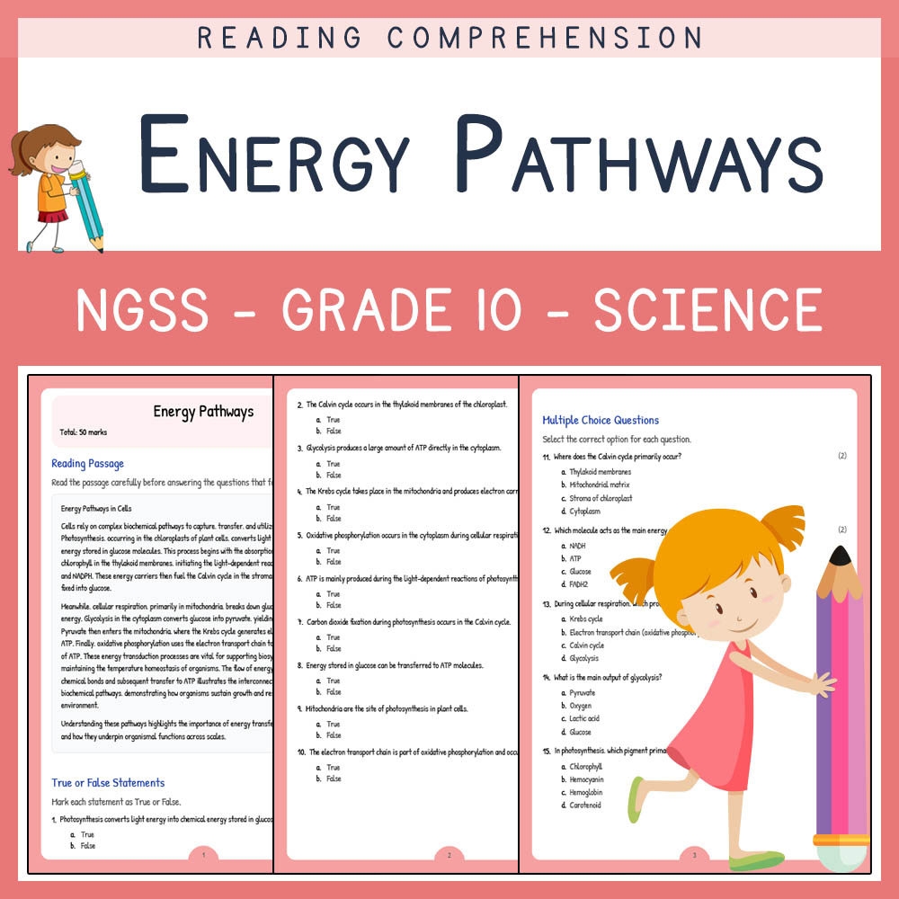 Grade 10 Science worksheet worksheet — Grade 10 Science | Energy Pathways Worksheet – NGSS-Aligned PDF with Answer Key — p…