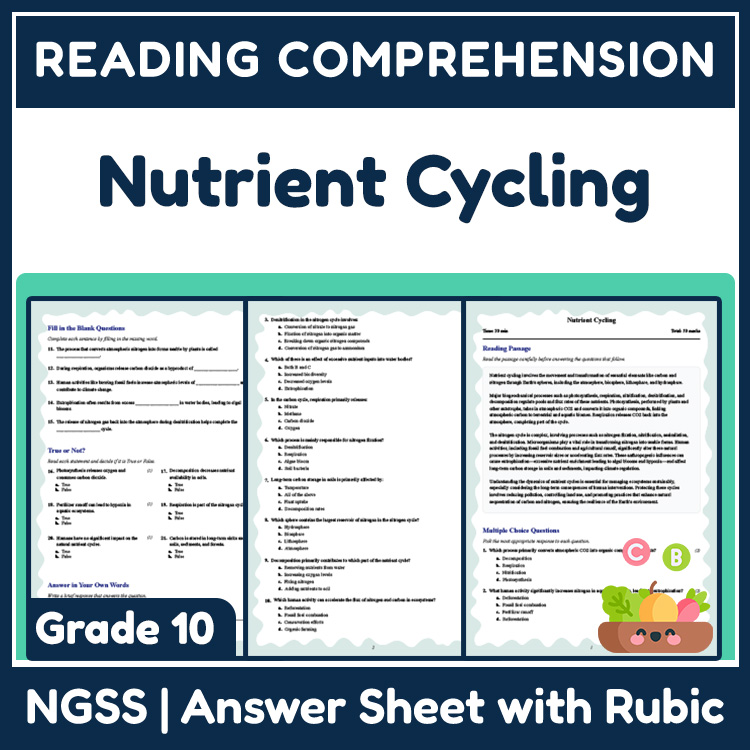 Grade 10 Science reading worksheets worksheet — 10th Grade Science | Nutrient Cycling Reading Worksheet & Rubric (PDF) — p…