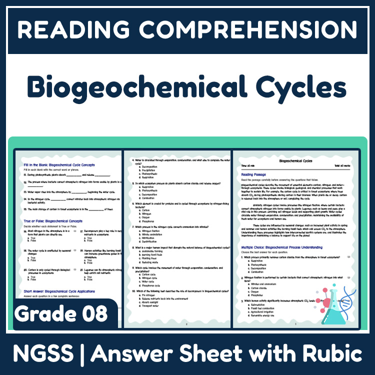 Grade 8 Science reading worksheets worksheet — Grade 8 Science | Biogeochemical Cycles Reading Worksheet (Answer Key) — pa…