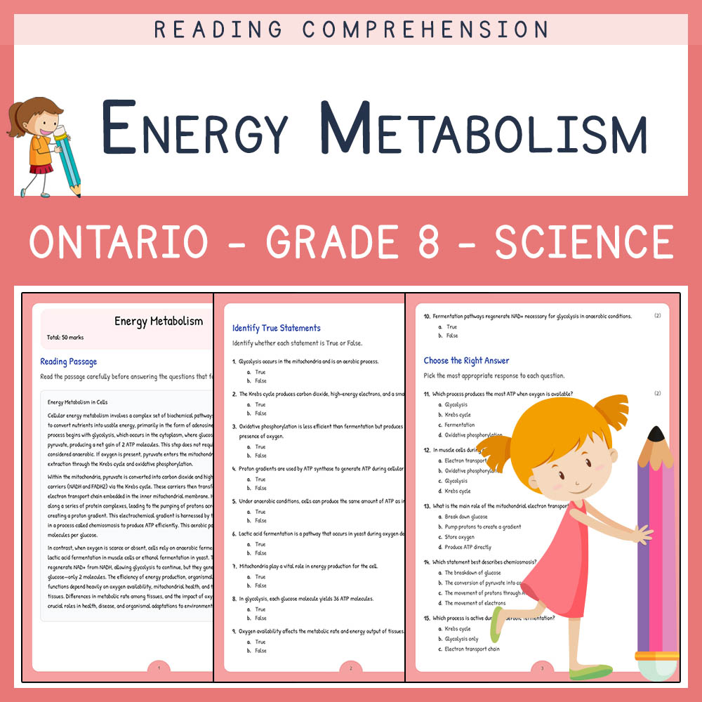 Grade 8 Science worksheet elena worksheet — Grade 8 Science | Energy Metabolism Worksheet | Ontario Standards — page 1