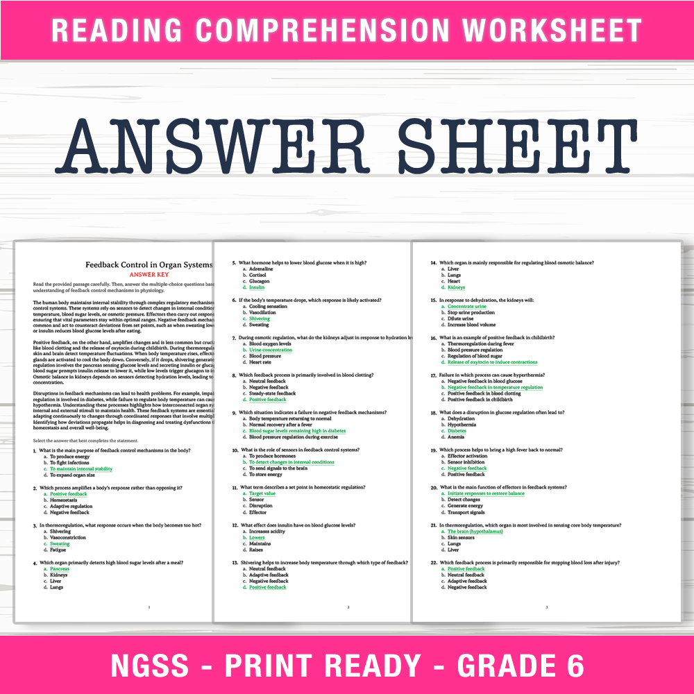 Grade 6 Science worksheet worksheet — 6th Grade Science | Feedback Control in Organ Systems Worksheet (PDF) — page 2