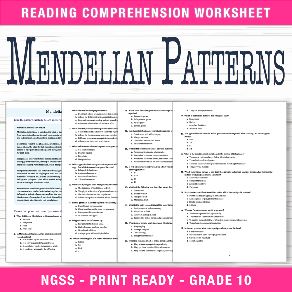 Grade 10 Science worksheet worksheet — Grade 10 Science | Mendelian Patterns Worksheet (PDF + Answer Key) — page 1