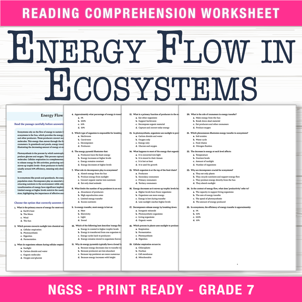 Grade 7 Science worksheet worksheet — Grade 7 Science | Energy Flow in Ecosystems Worksheet (PDF + Answer Key) — page 1