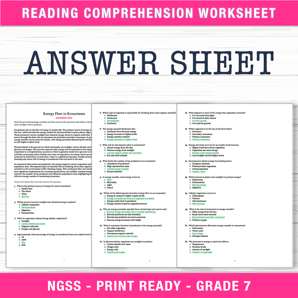 Grade 7 Science worksheet worksheet — Grade 7 Science | Energy Flow in Ecosystems Worksheet (PDF + Answer Key) — page 2