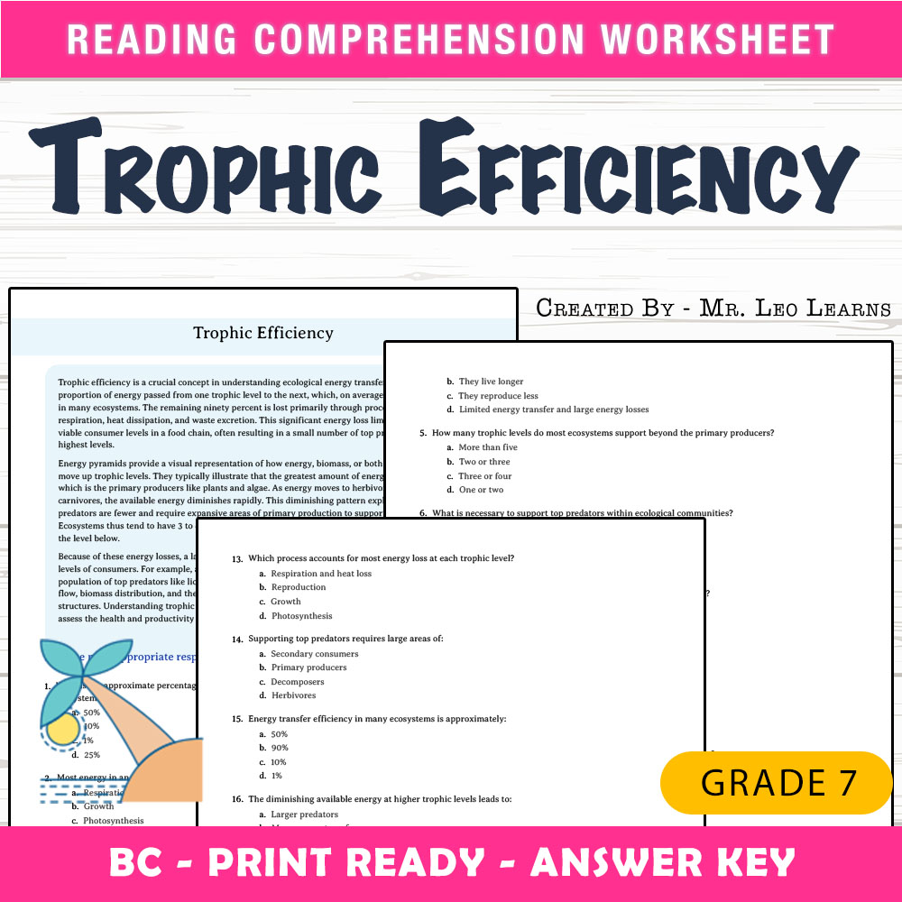 Grade 7 Science worksheet mcq paper worksheet — Grade 7 Science — Trophic Efficiency Worksheet for Mastery — page 1