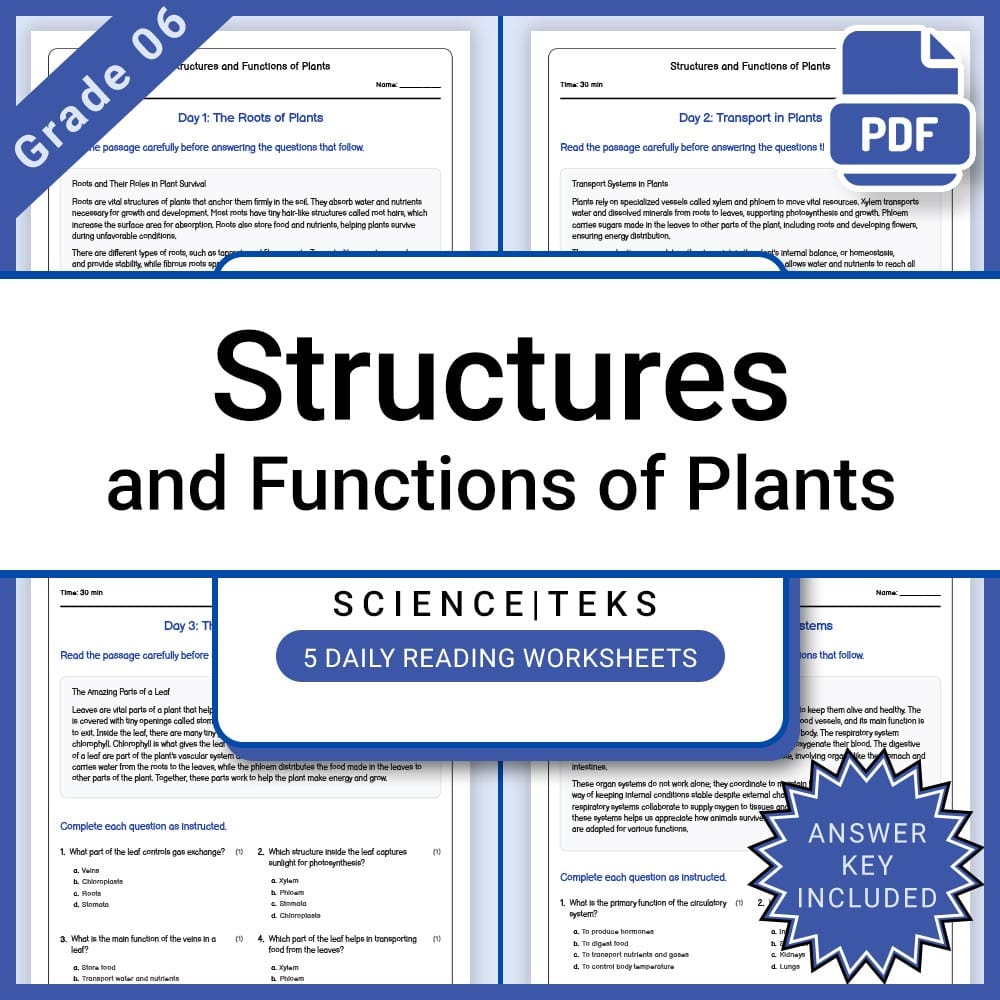 Grade 6 Science Full Year Bundle | Ecosystems, Space, Matter & Environment — included worksheet 6