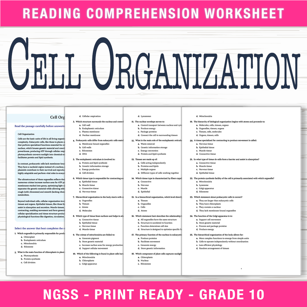 Grade 10 Science worksheet worksheet — Grade 10 Science | Cell Organization Worksheet (PDF + Answer Key) — page 1