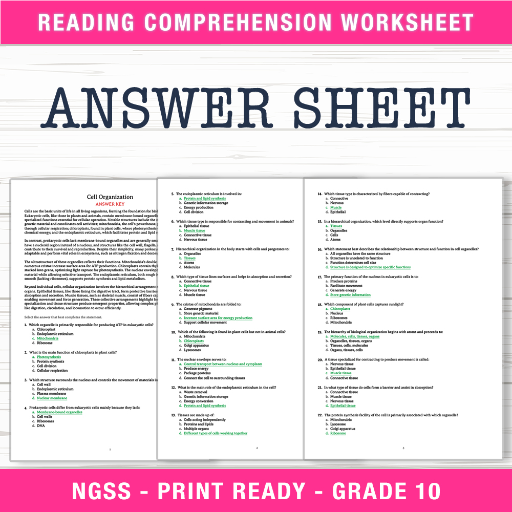 Grade 10 Science worksheet worksheet — Grade 10 Science | Cell Organization Worksheet (PDF + Answer Key) — page 2
