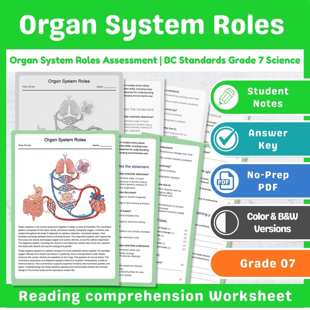 Grade 7 Science | Cell Functions & Organization Assessment – Standards-Aligned — included worksheet 3