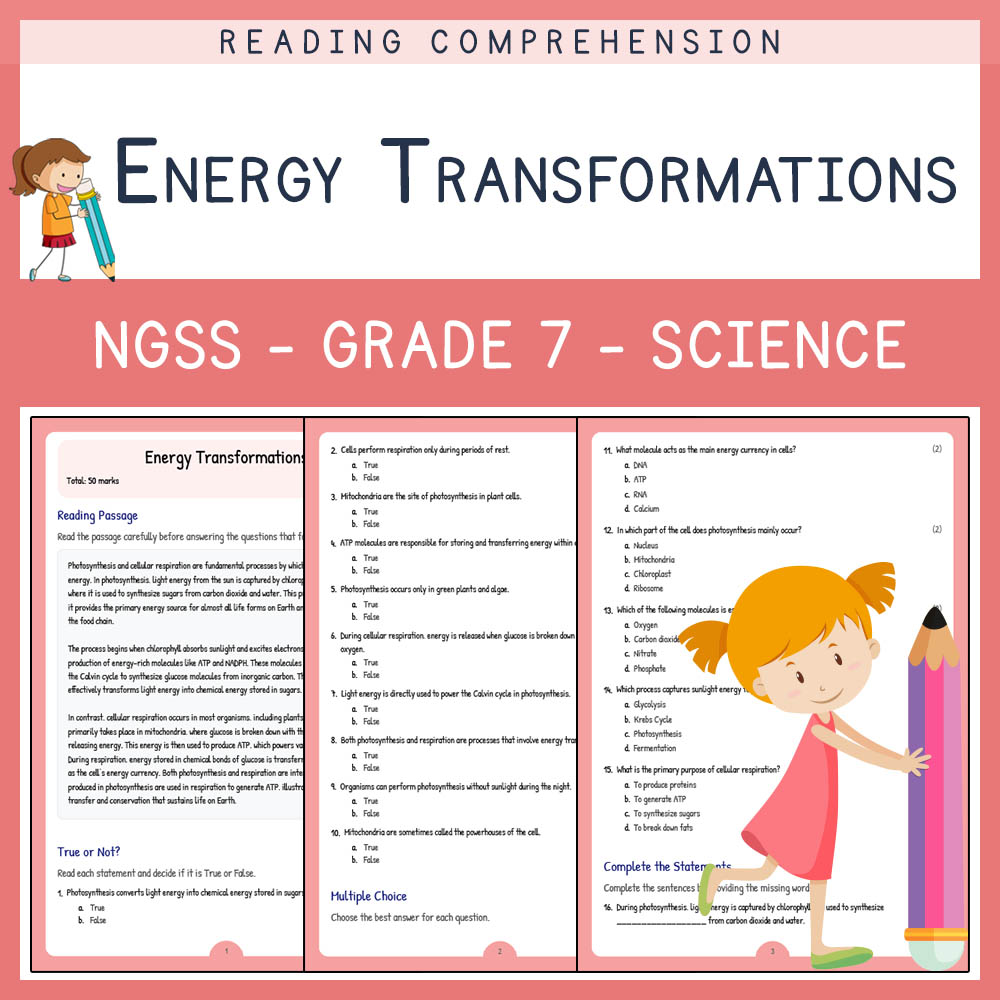 Grade 7 Science worksheet worksheet — Grade 7 Science | Energy Transformations Worksheet (PDF + Answer Key) — page 1
