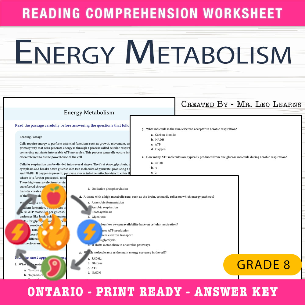 Grade 8 Science worksheet worksheet — Grade 8 Science — Energy Metabolism Worksheet for Mastery — page 1