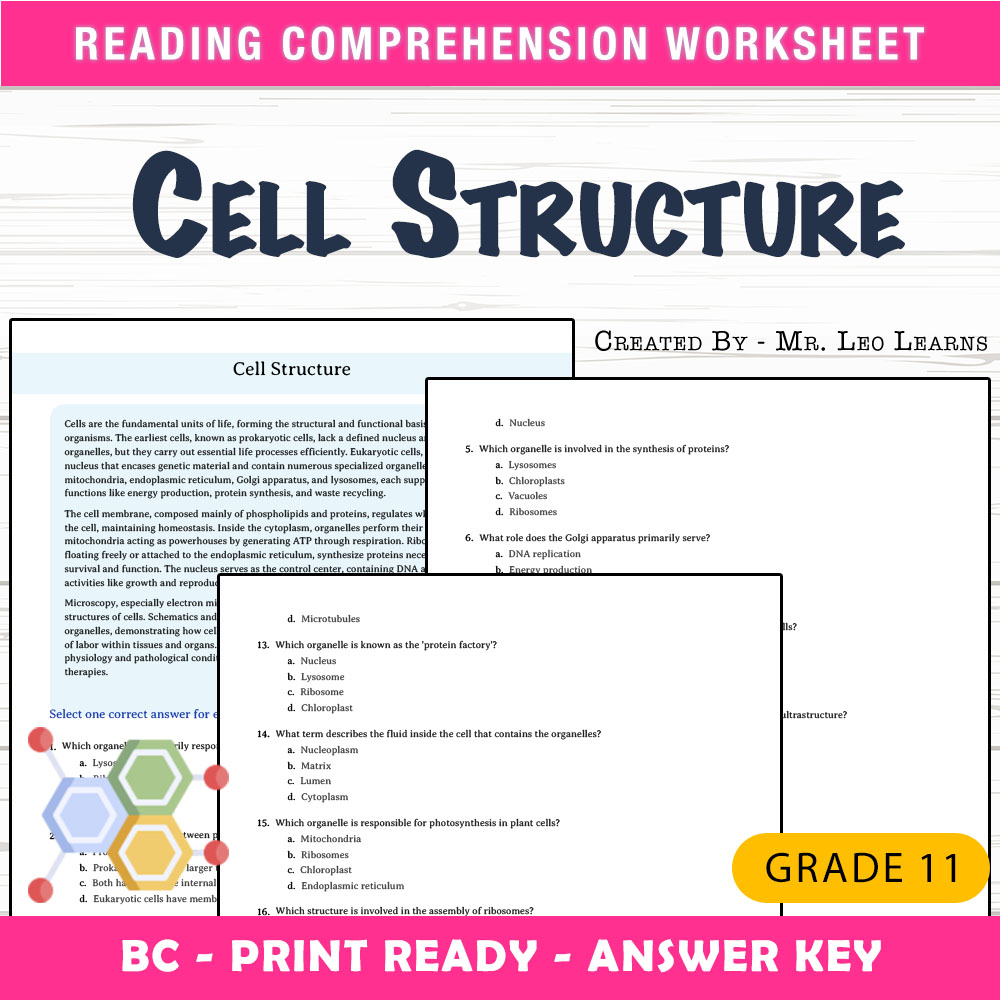 Grade 11 Science worksheet mcq paper worksheet — Grade 11 Science — Cell Structure Worksheet MCQ Paper for Mastery — page 1