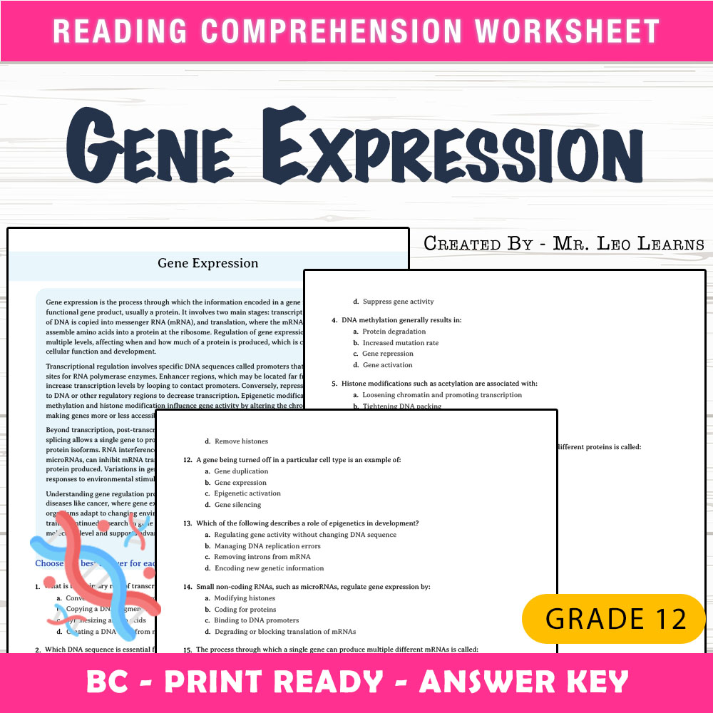 Grade 12 Science worksheet mcq paper worksheet — Grade 12 Science — Worksheet MCQ Paper for Mastering Gene Expression — pa…