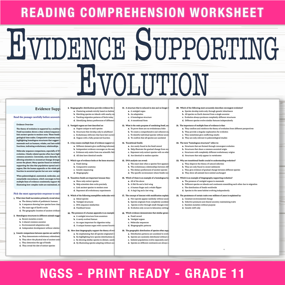Grade 11 Science worksheet worksheet — Grade 11 Science | Evidence Supporting Evolution Worksheet (PDF + Answer Key) — page 1