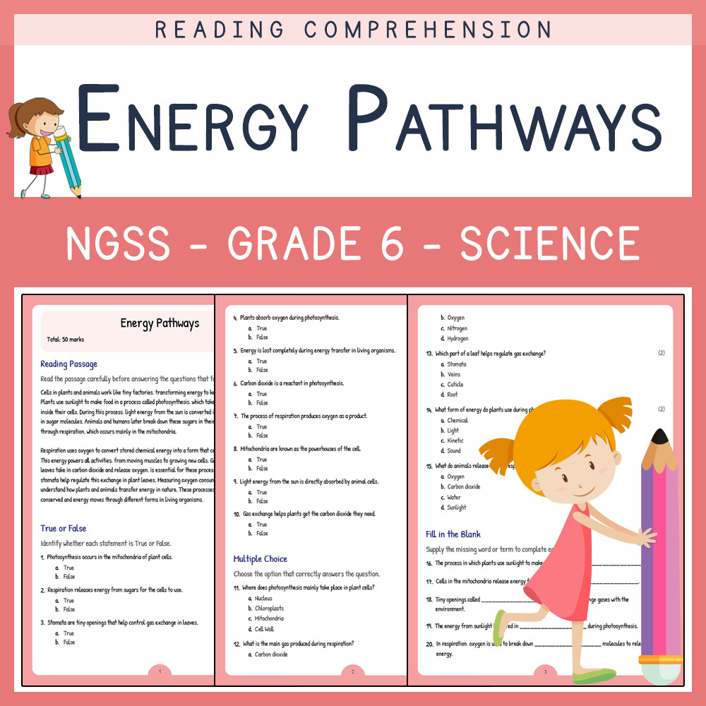 Grade 6 Science worksheets for primary grades worksheet — Grade 6 Science | Energy Pathways Worksheet (PDF) | NGSS Aligned…