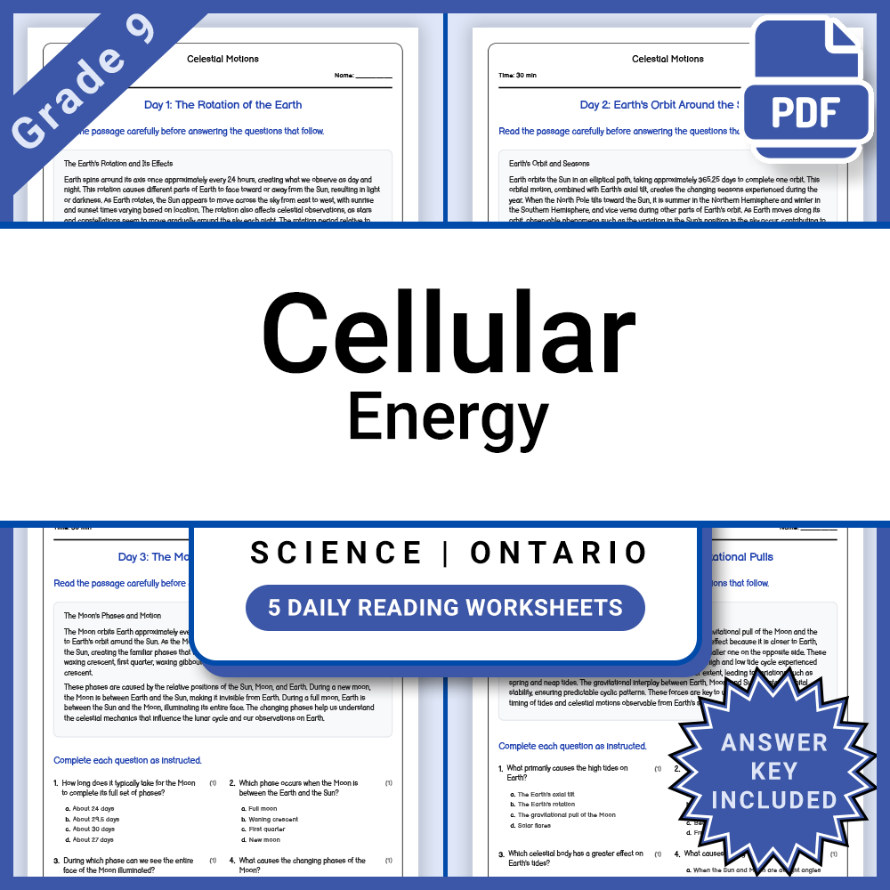 Grade 9 Science Lesson Group | Human Body Systems, Environment & Energy — included worksheet 4
