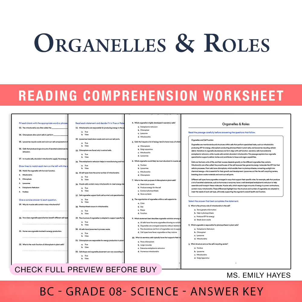 Grade 8 Science worksheet worksheet — 8th Grade Science | Organelles & Roles Worksheet (PDF+ Answer Key) — page 1