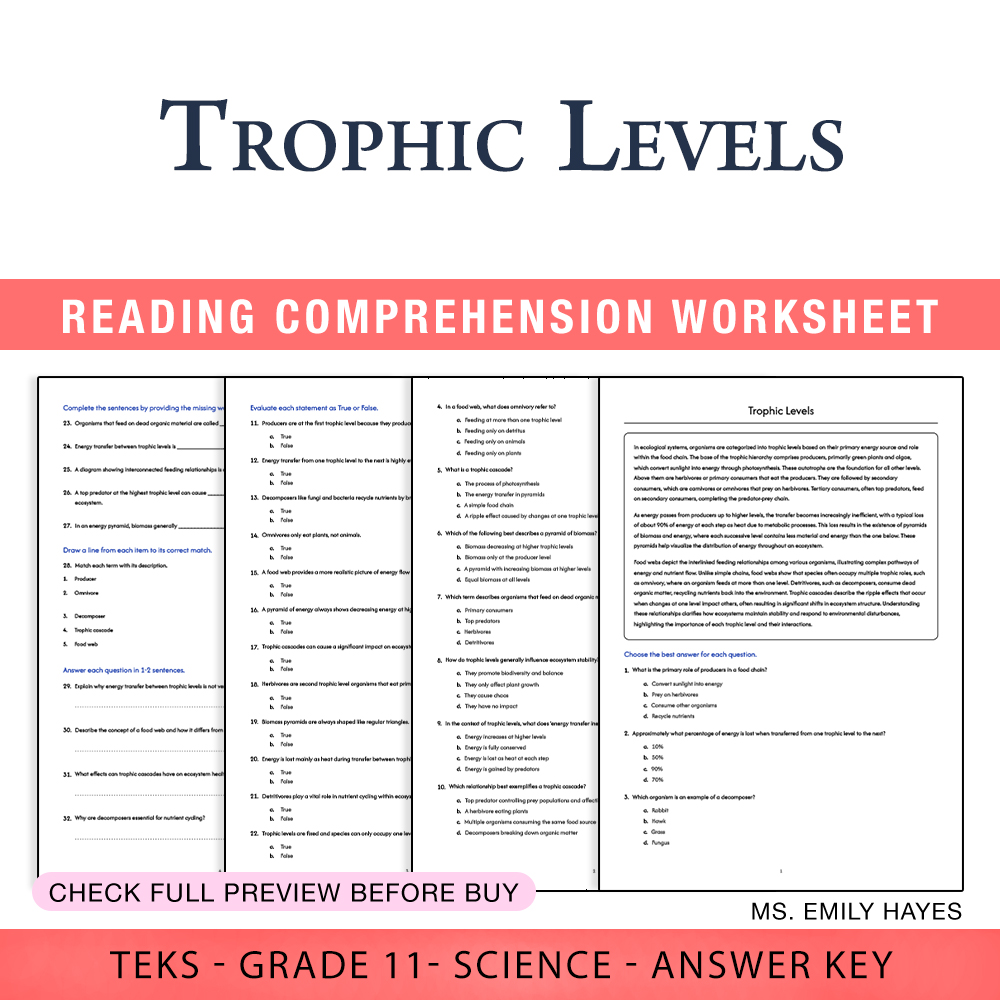 Grade 11 Science worksheet worksheet — 11th Grade Science | Trophic Levels Worksheet (PDF+ Answer Key) — page 1
