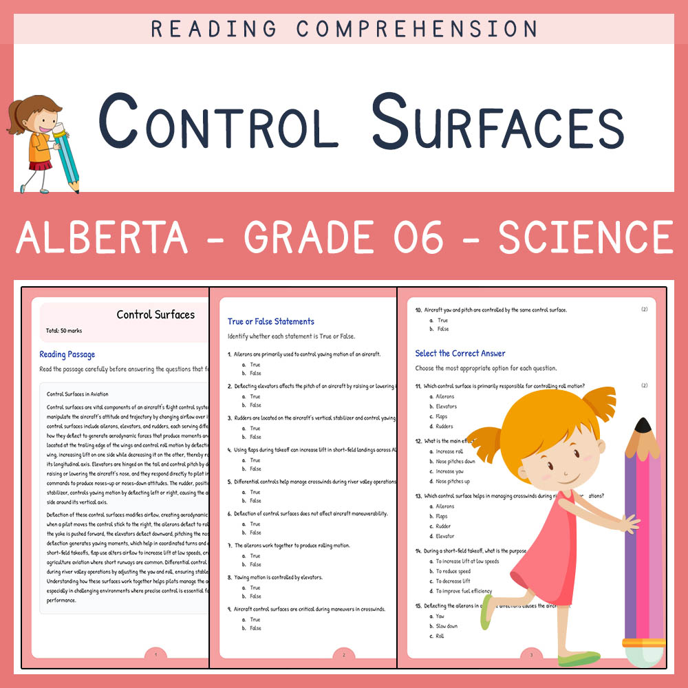 Grade 6 Science worksheet elena worksheet — Grade 6 Science | Control Surfaces Worksheet Elena | Alberta Standard — page 1