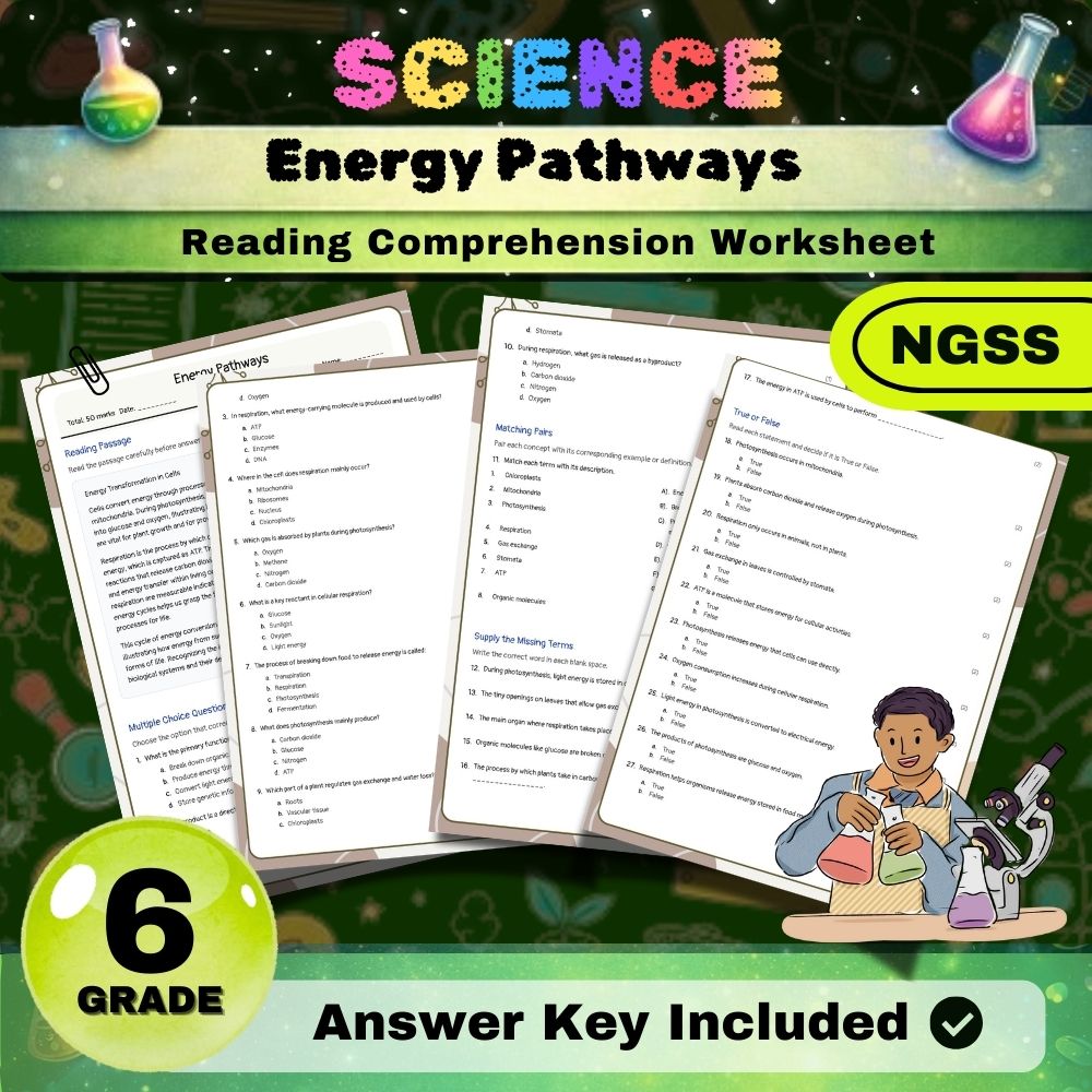 Grade 6 Science science ngss worksheet — 6th Grade Science – Energy Pathways Worksheet (PDF) NGSS Aligned