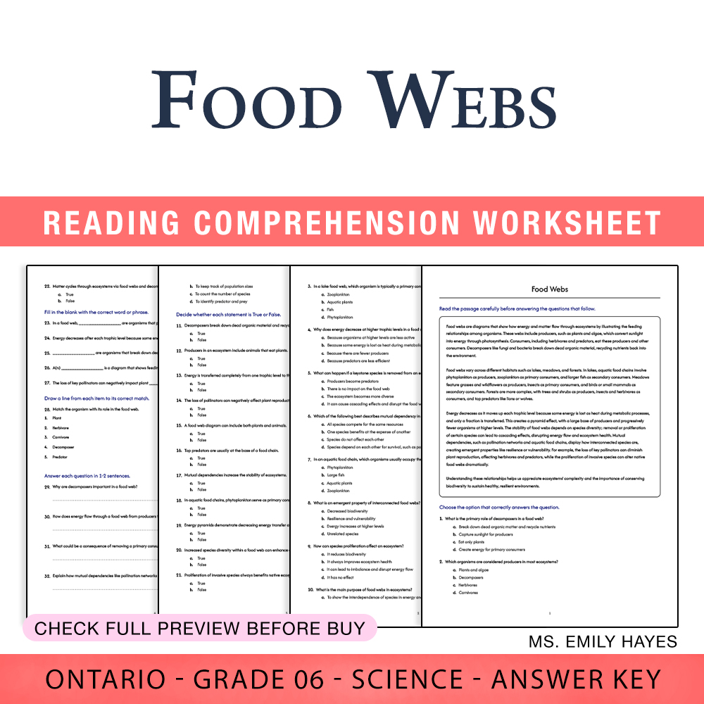 Grade 6 Science worksheet worksheet — 6th Grade Science | Food Webs Worksheet (PDF+ Answer Key) — page 1