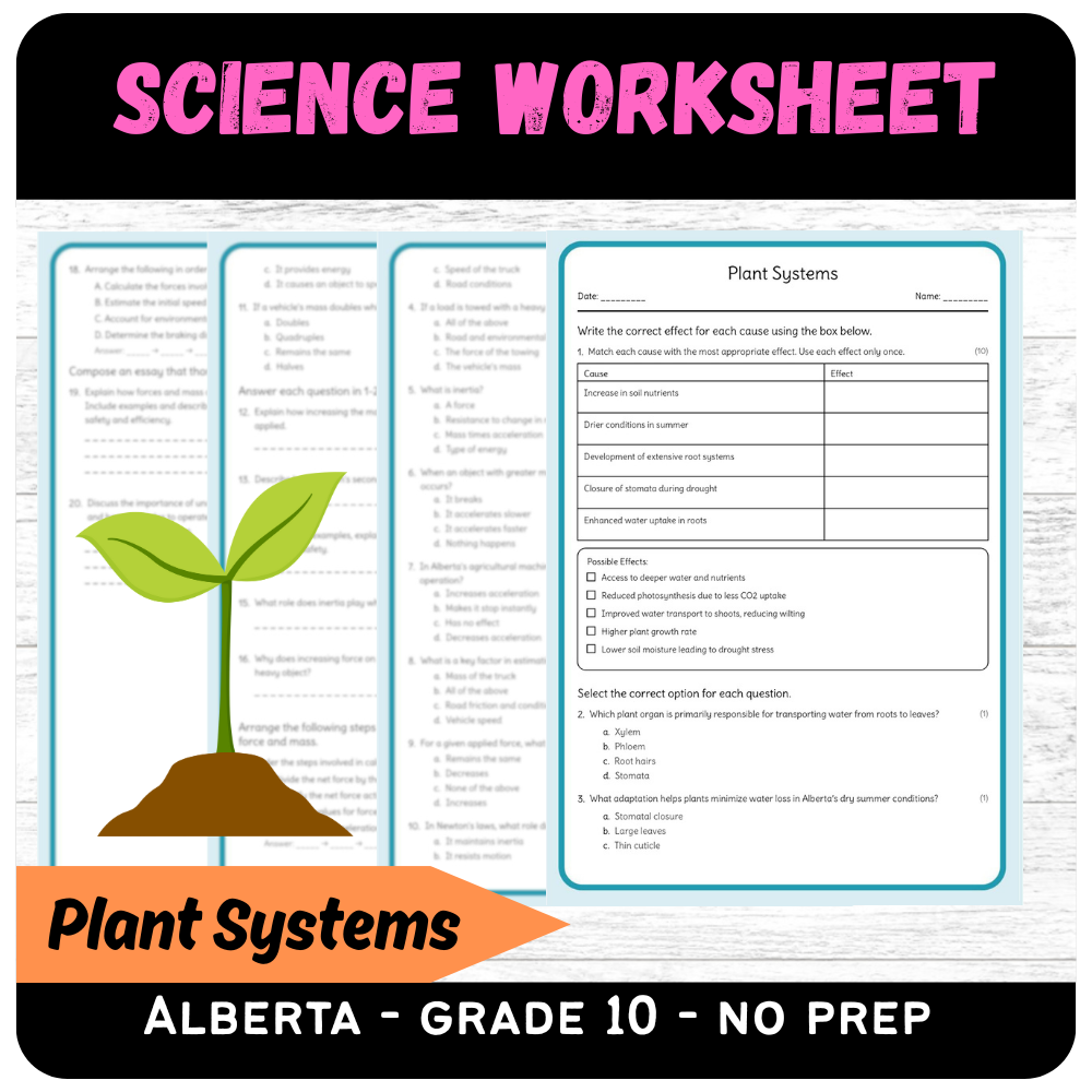Grade 10 Science | Plant Systems Worksheet (Answer Key) – Alberta Standard