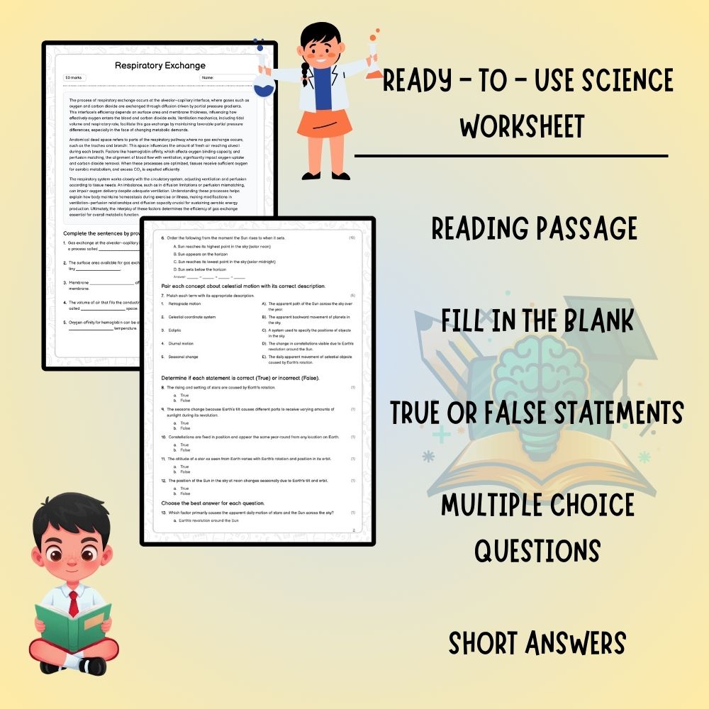 Grade 9 Science worksheet worksheet — Grade 9 Science | Respiratory Exchange Worksheet (Answer Key) – Ontario Standard — p…