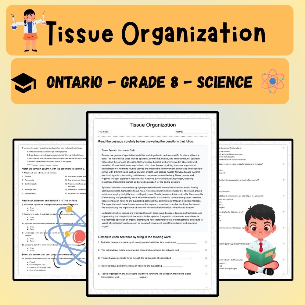 Grade 8 Science worksheet worksheet — Grade 8 Science | Tissue Organization Worksheet (PDF ) - Ontario Standards — page 1