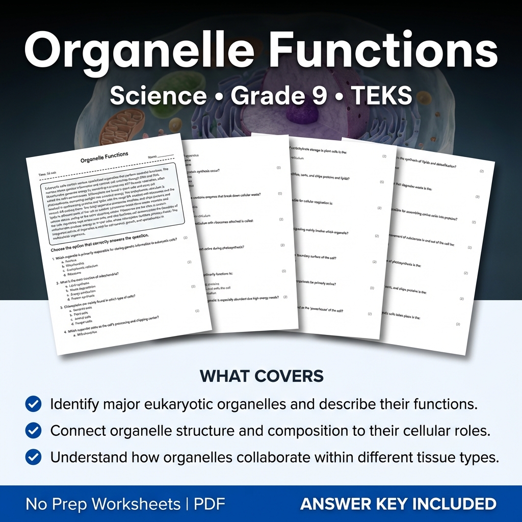Organelle Functions Worksheet for Grade 9 Science – Printable PDF & Answer Key