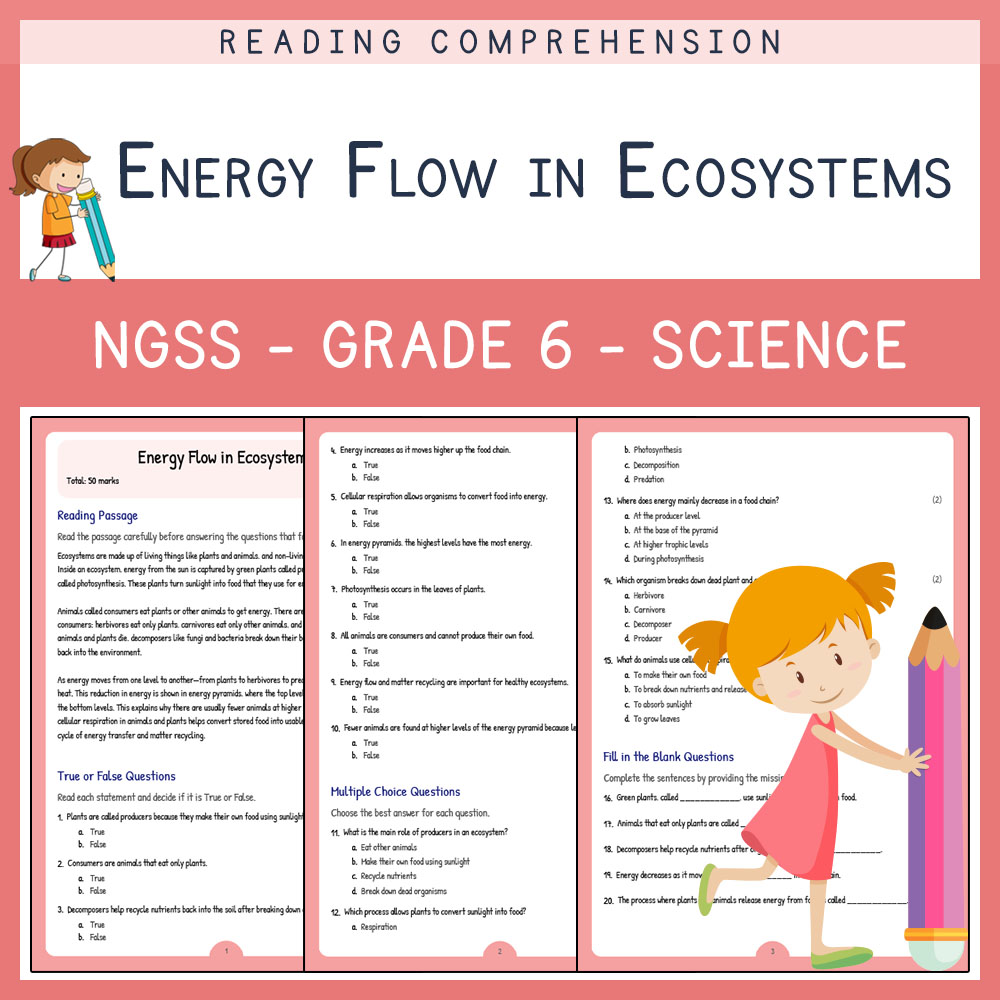 Grade 6 Science worksheets for primary grades worksheet — Grade 6 Science | Energy Flow in Ecosystems Worksheet (PDF) | NG…