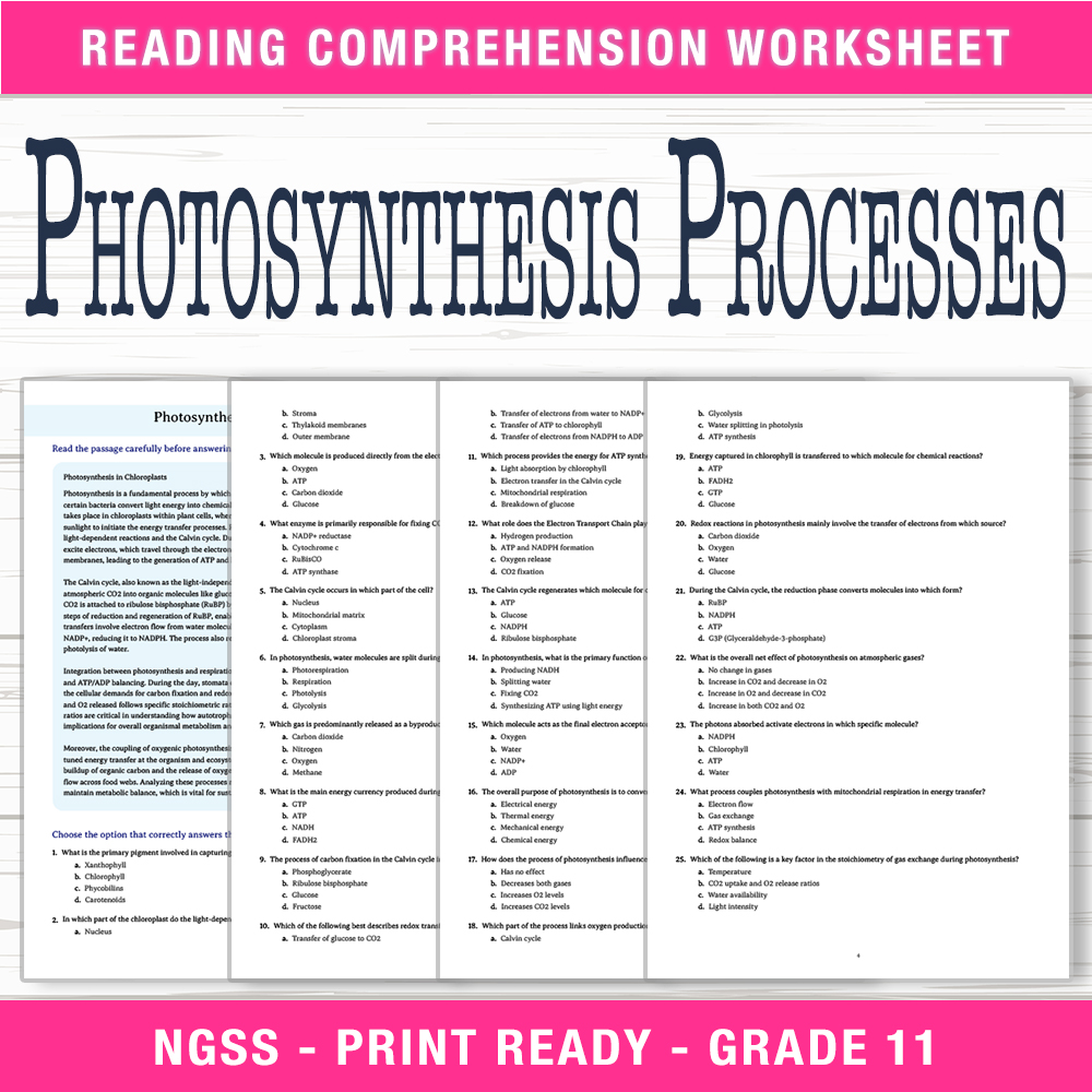 Grade 11 Science worksheet worksheet — Grade 11 Science | Photosynthesis Processes Worksheet (PDF +  Answer Key) — page 1