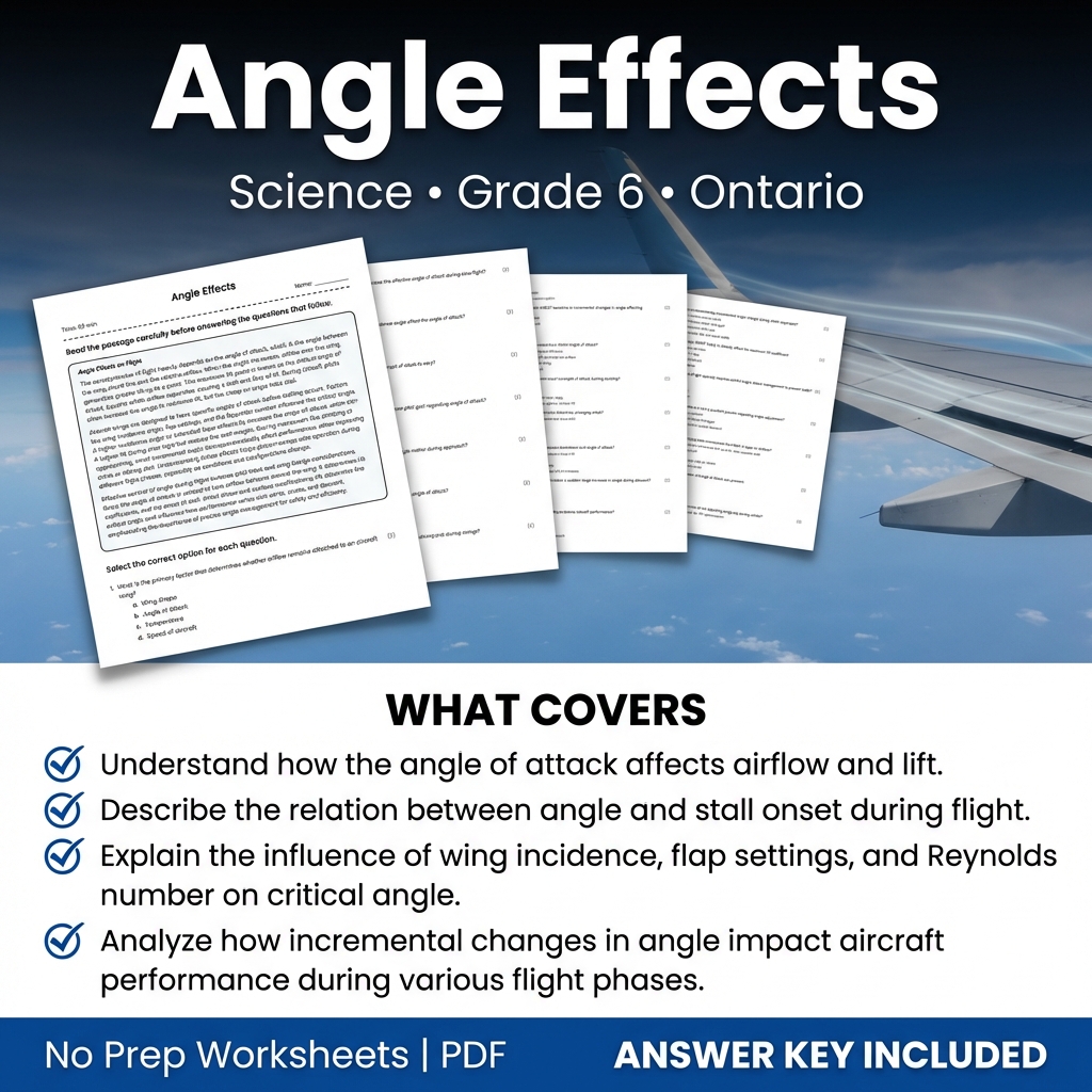 Grade 6 Science Worksheet on Angle Effects | Ontario Standards