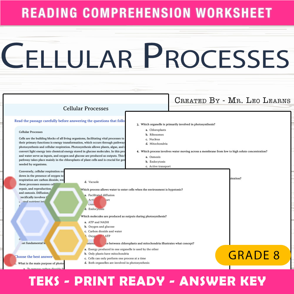 Grade 8 Science worksheet worksheet — Grade 8 Science – Cellular Processes Worksheet for Mastery | PDF + Answer Key — page 1