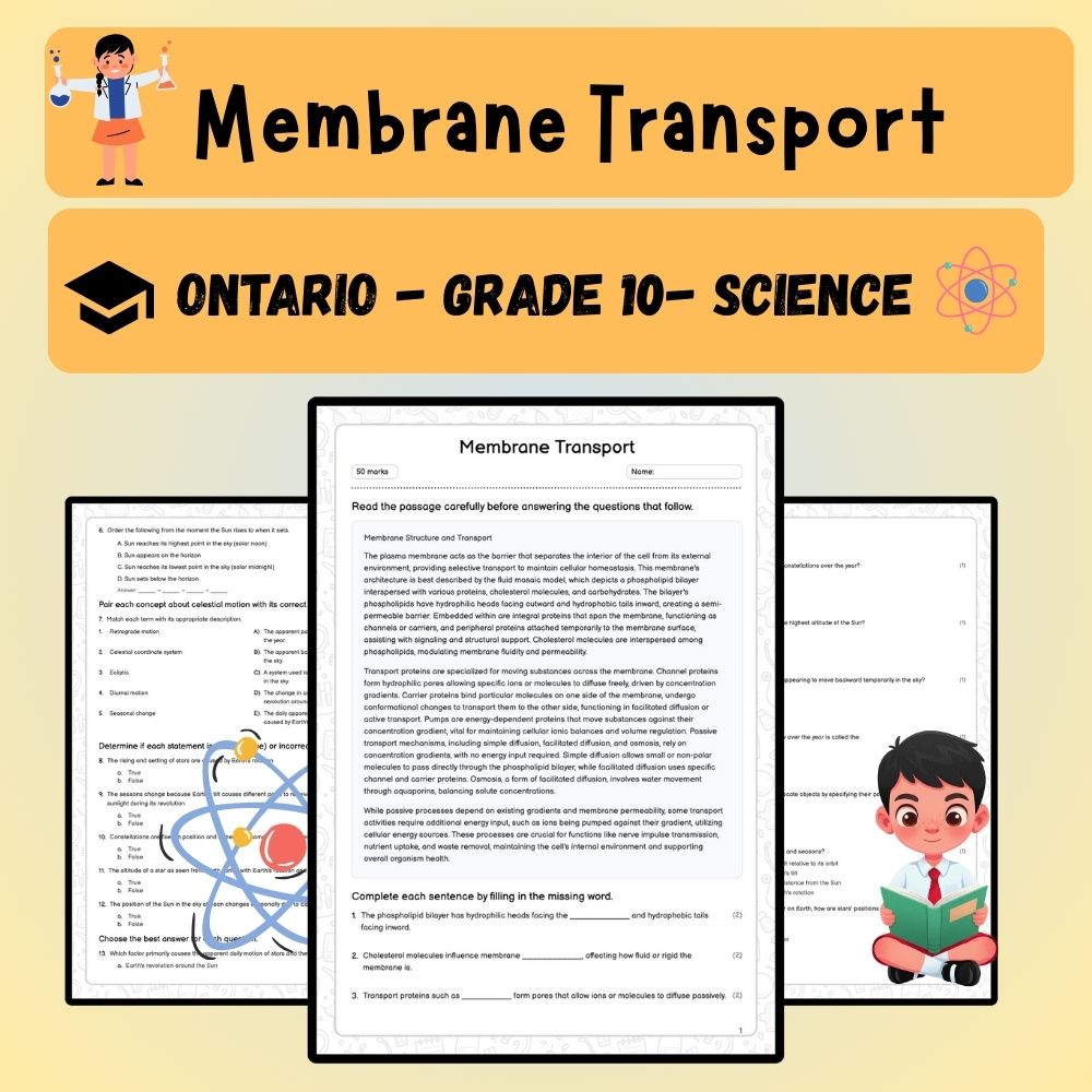Grade 10 Science worksheet worksheet — Grade 10 Science | Membrane Transport Worksheet (PDF) Aligned with Ontario Standard…