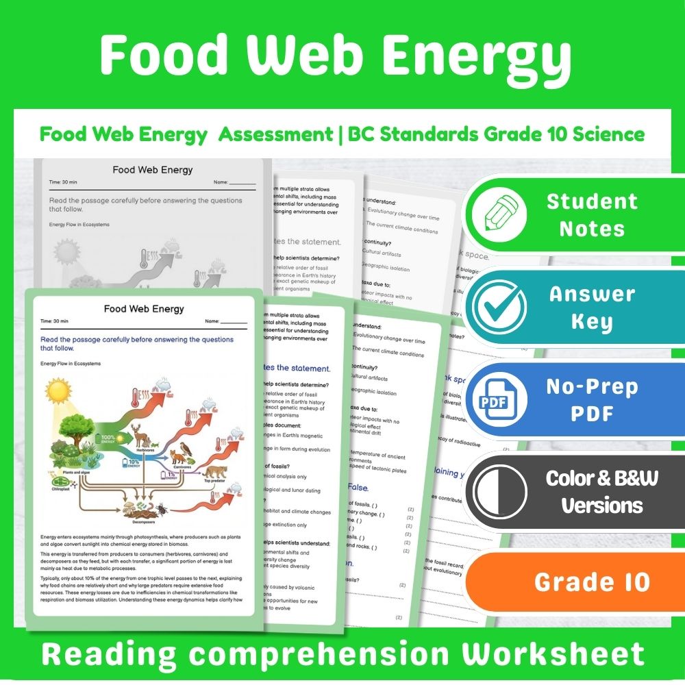 Grade 10 Science | Energy Assessment - BC Standards-Aligned Mini Bundle — included worksheet 5